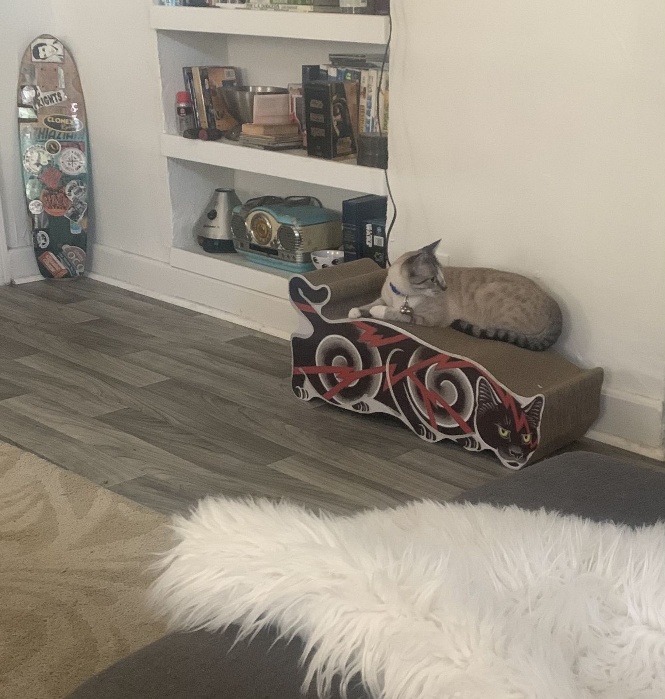 Customer photo review of Electric Cat Scratcher
