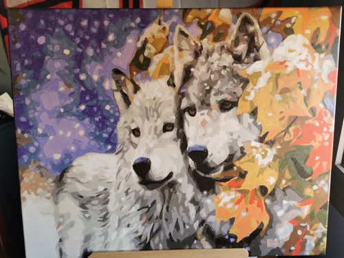 Customer photo review of Lobos