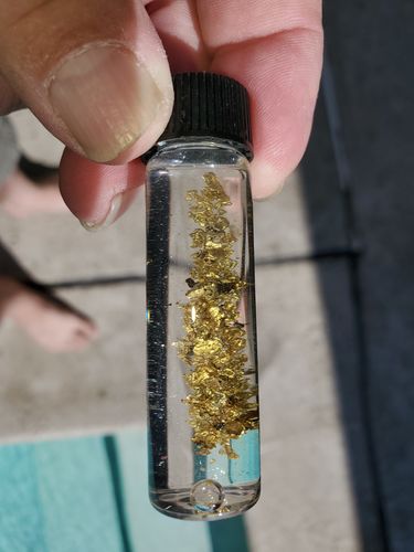 Customer photo review of *BOGO* Gold Diggers Delight '10 TROY OUNCE GOLD HUNT' - Gold Paydirt Panning Concentrates