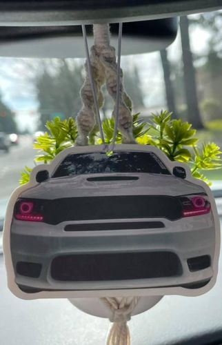 Customer photo review of Custom Air Freshener