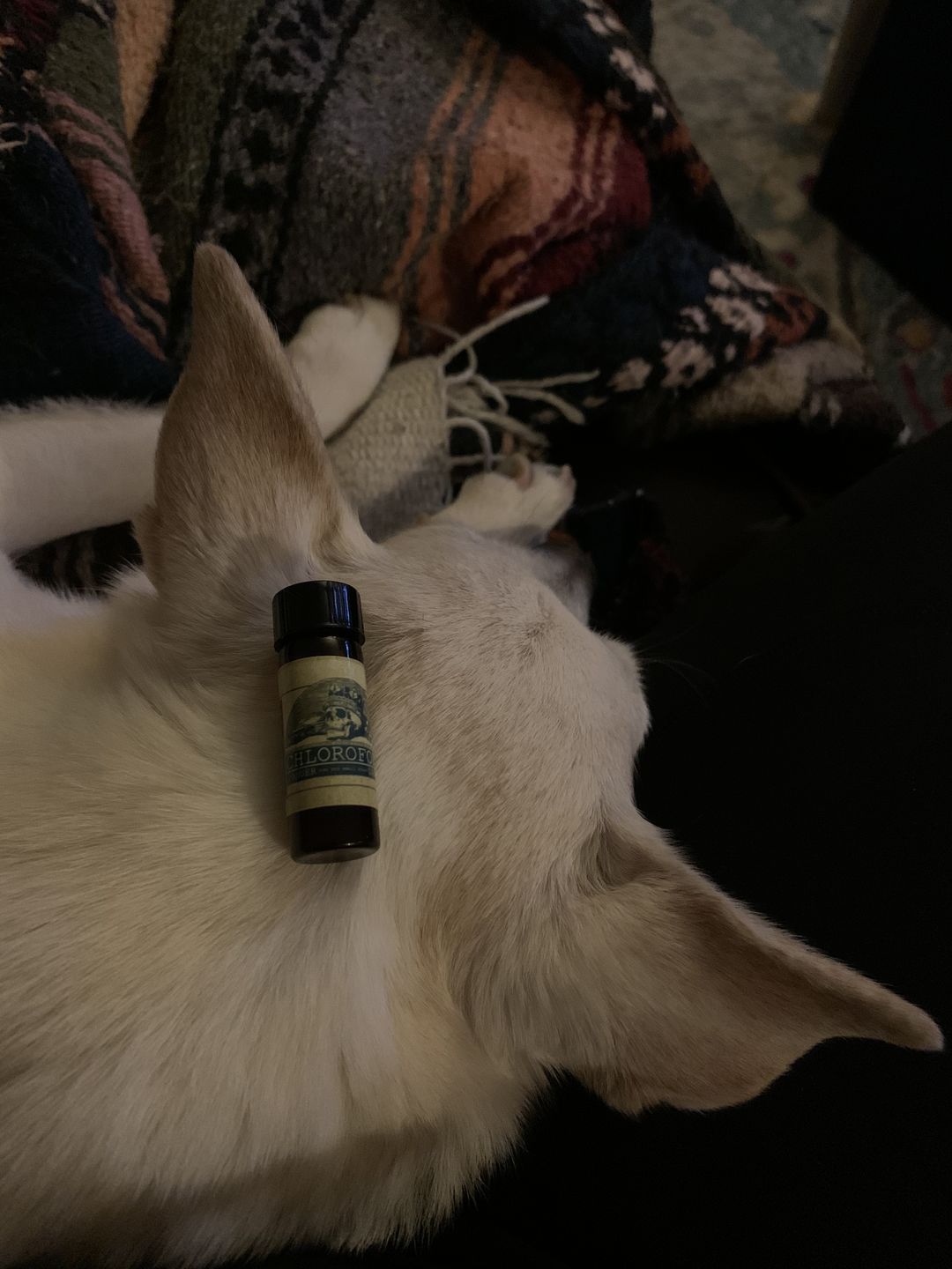 Customer photo review of Chloroform