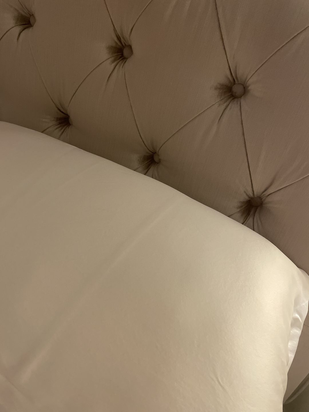 Customer photo review of Ivory Pure Silk Pillowcase
