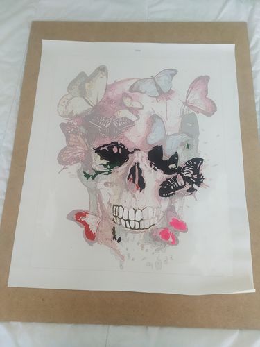 Customer photo review of Mariposas y Calavera