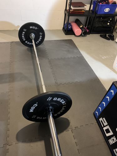 Customer photo review of Great Lakes Girya Polyurethane Bumper Plates (PAIRS)