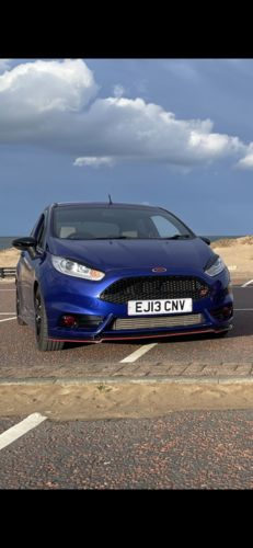 Customer photo review of Fiesta ST180 Fog Light Armour