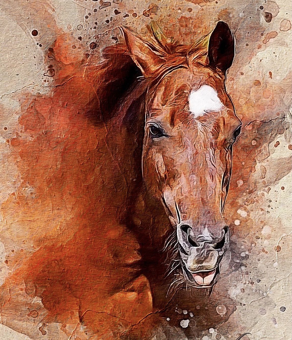 Customer photo review of Personalized Horse portrait