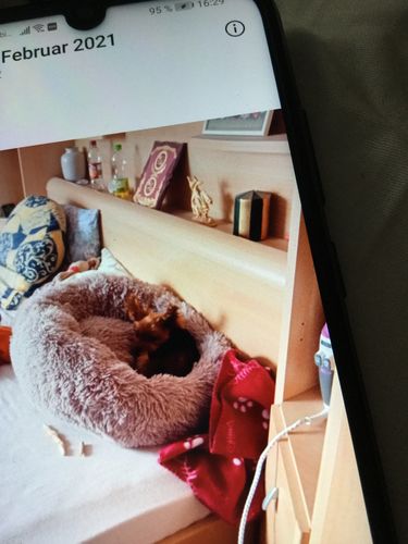 Customer photo review of Puppery Kuschelbett - Das Original