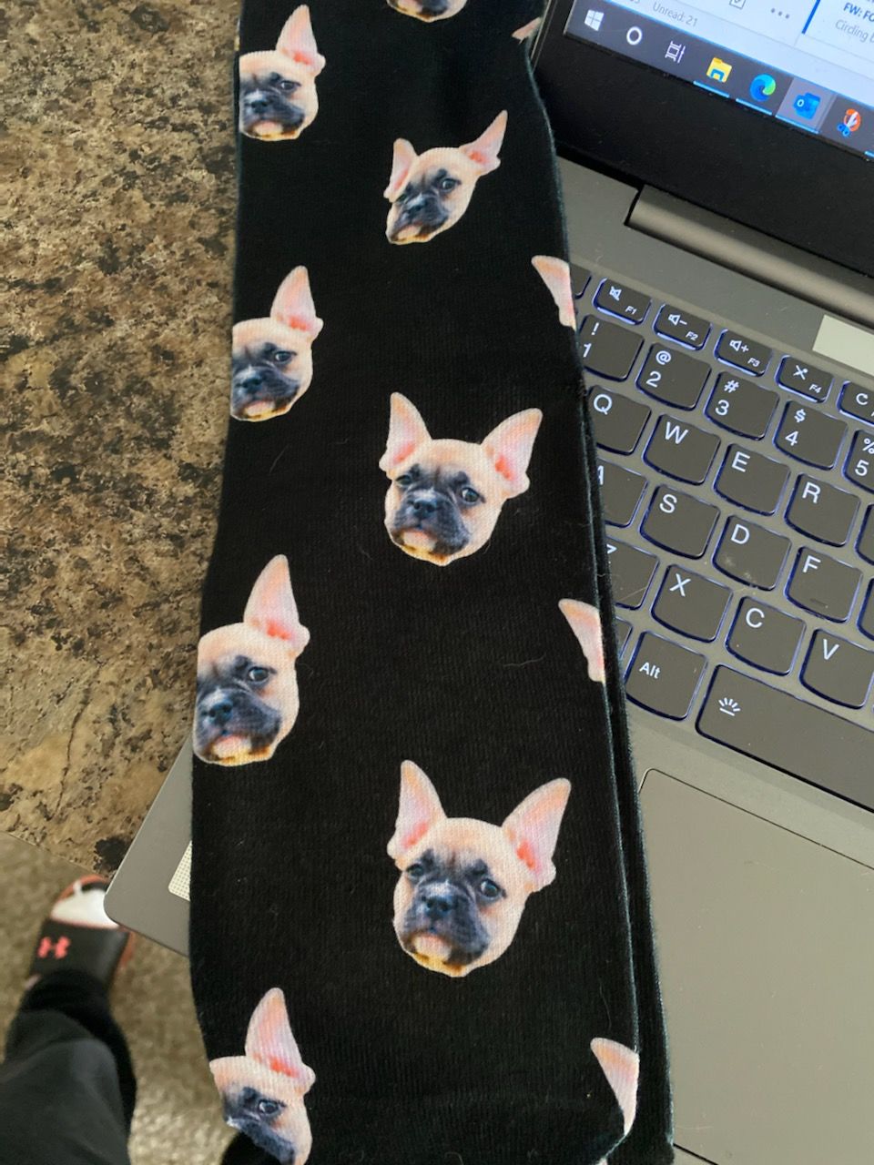 Customer photo review of Custom Pet Art Socks