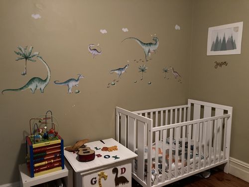 Customer photo review of Jurassic Lands Decal Set