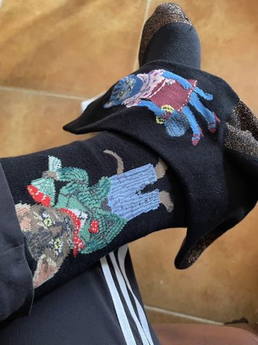 Customer photo review of Witty Socks™ Mr. & Mrs. Feline