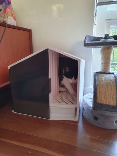 Customer photo review of Furrytail XL Semi-Closed Glow House Cat Litter Box with Scoop
