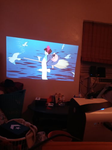 Customer photo review of ASTN Projector HD+ Bluetooth® Speaker