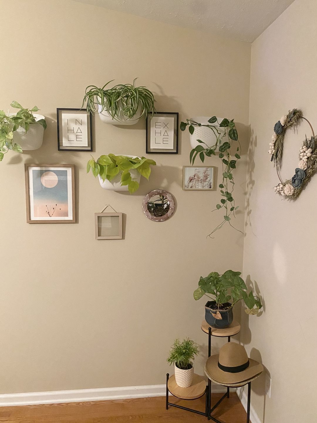 Customer photo review of Eco White Wall Planter