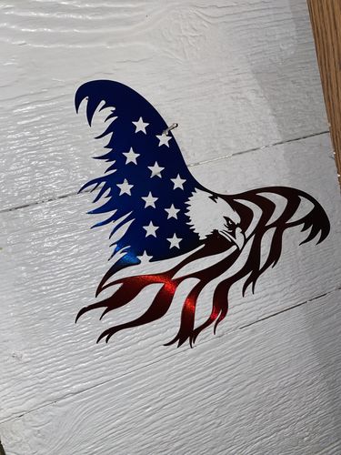 Customer photo review of Flying American Eagle / No Banner
