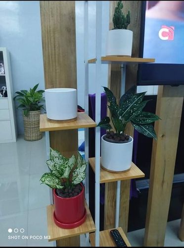 Review photo 1 by Ef C.