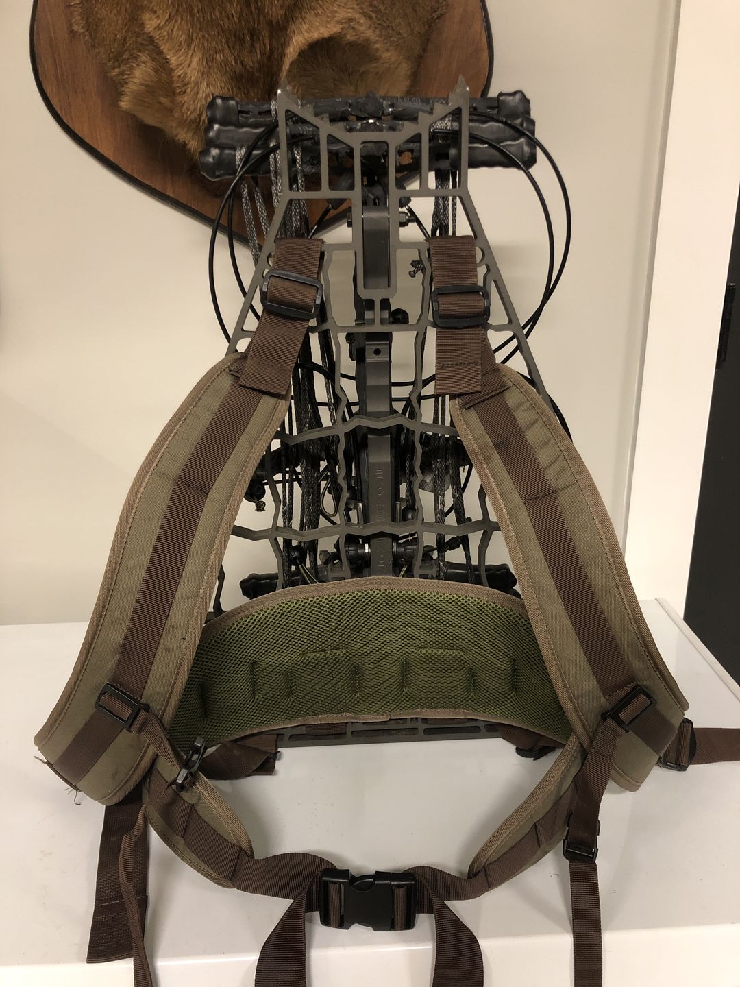Customer photo review of Backpack Straps and Waist Support System