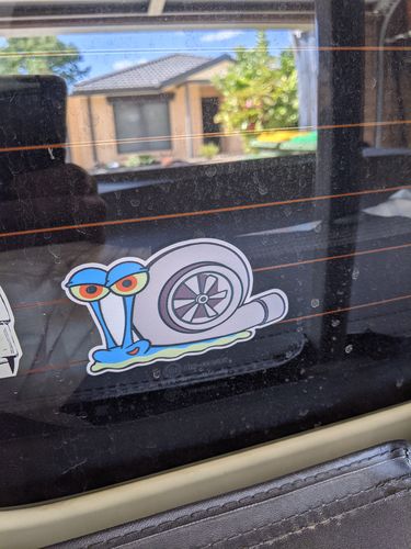 Customer photo review of TURBO SNAIL GARY