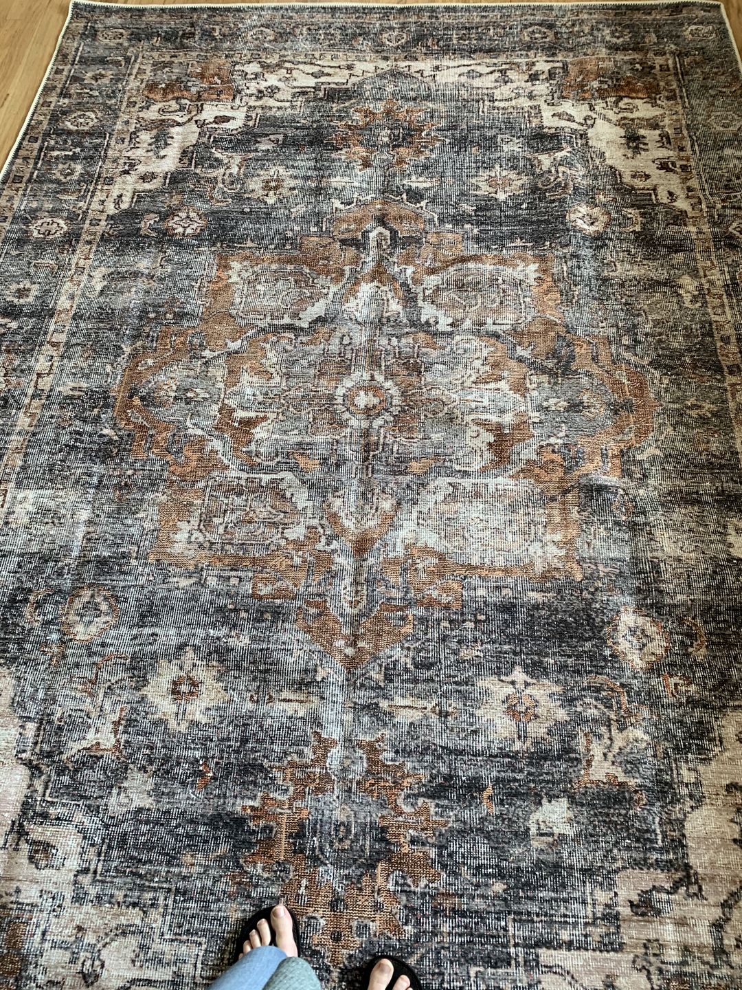 Customer photo review of Distressed Vintage Cezanne Terracotta Area Rug