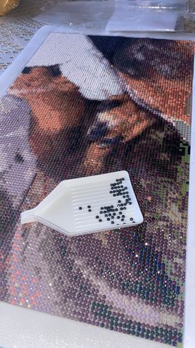 Customer photo review of Pintura de diamante personalizado