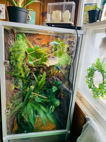 Customer photo review of 2'x2'x4' PVC Panel Chameleon Enclosure by Zen Habitats