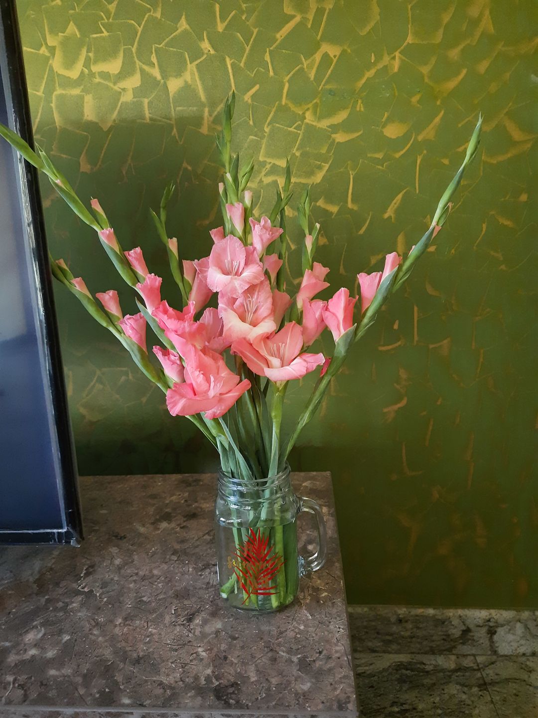 Customer photo review of Subscribe to Cut Flowers - Basics