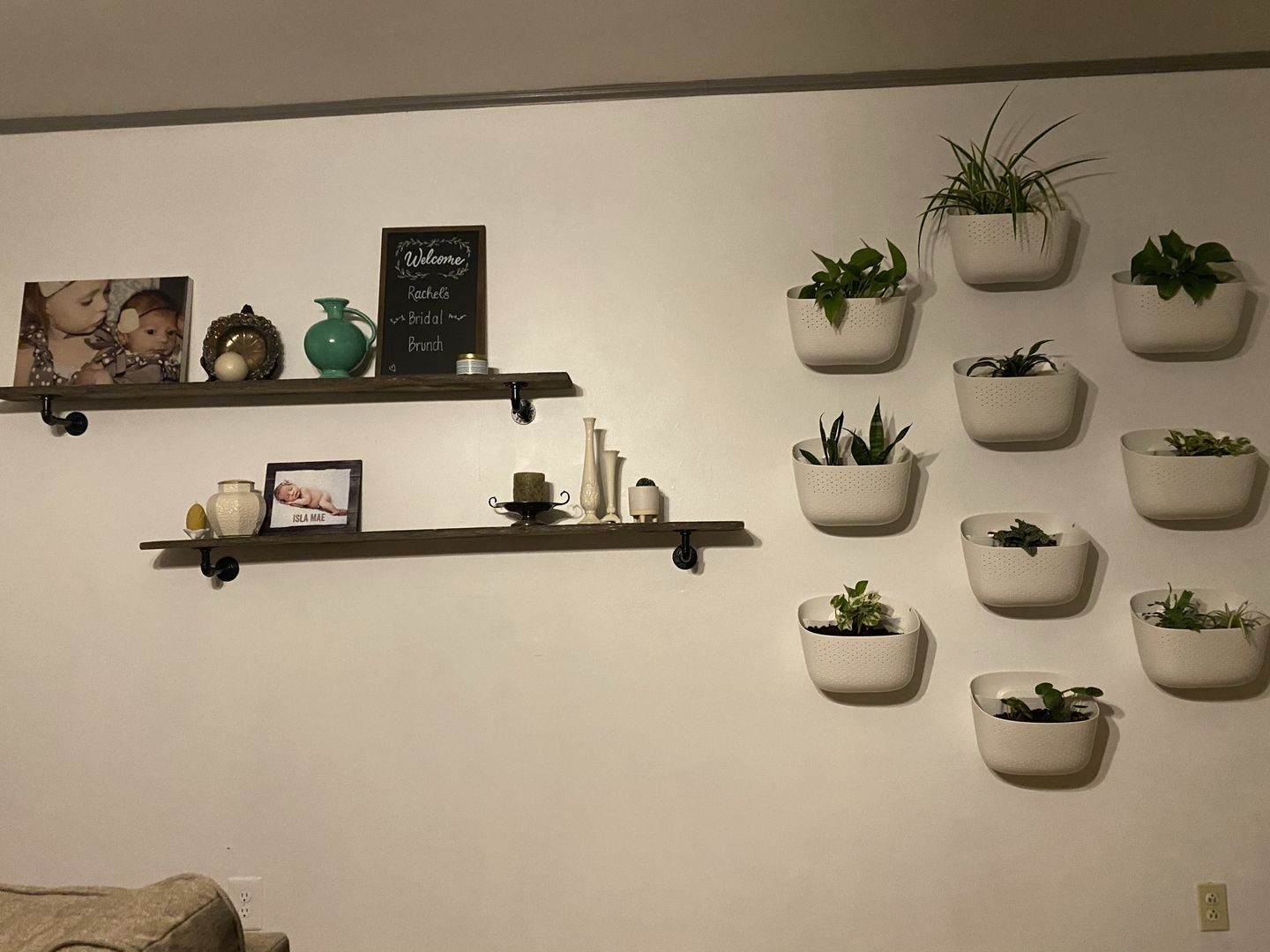 Customer photo review of Eco White Wall Planter