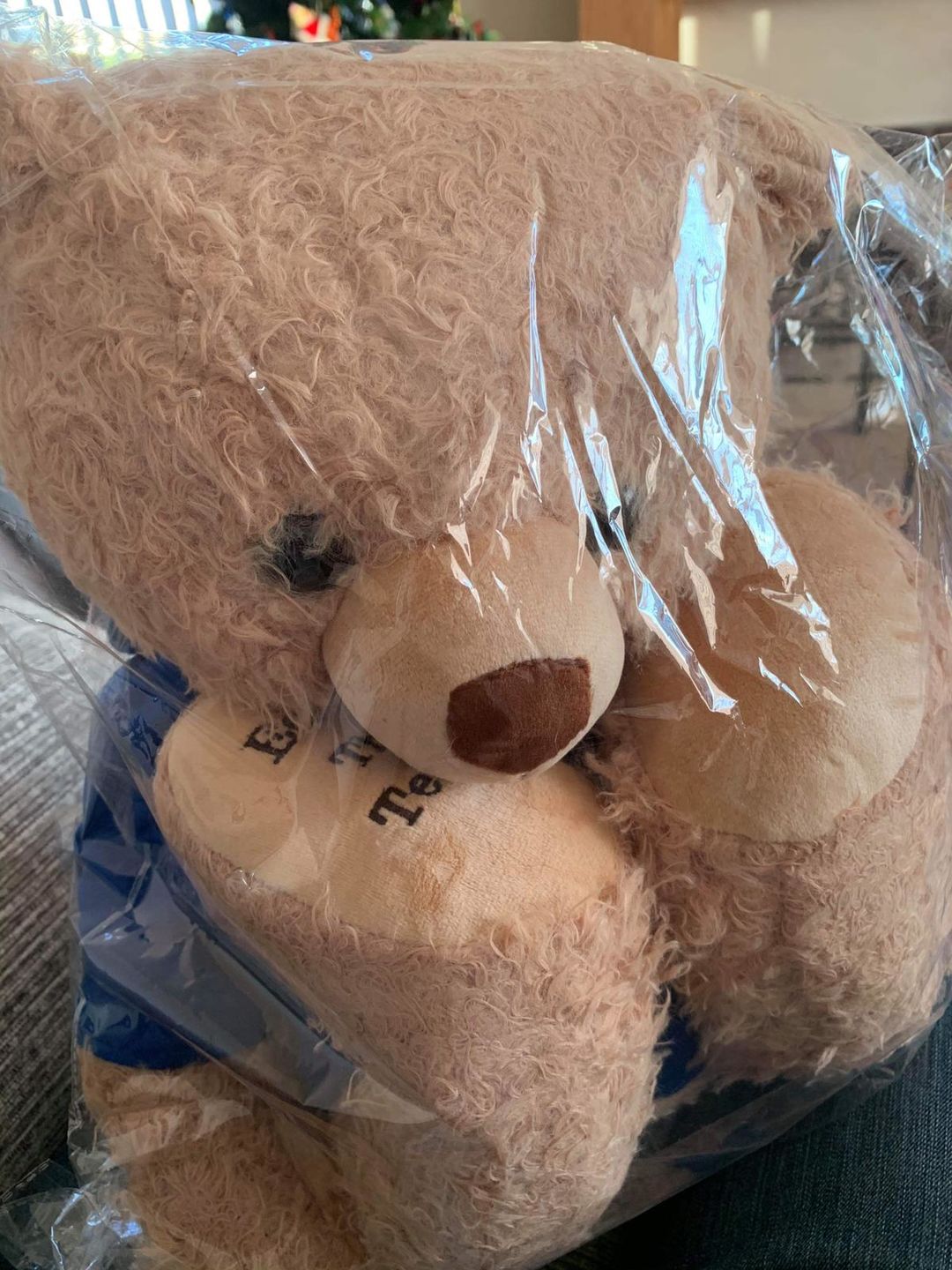 Customer photo review of 65cm Original Eddy the Teddy