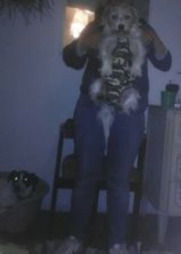 Avaliação com foto de um cliente sobre Transportadora Respirável tipo Mochila para Cães de raças pequenas e médias