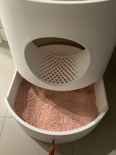 Customer photo review of Furrytail Michu Natural Clumping Tofu Cat Litter 2.5kg/6L