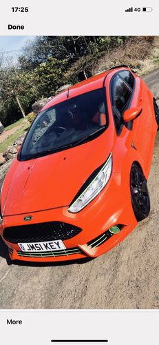 Customer photo review of Fiesta ST180 Fog Light Armour