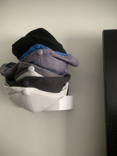 Customer photo review of DomeDock™ ST