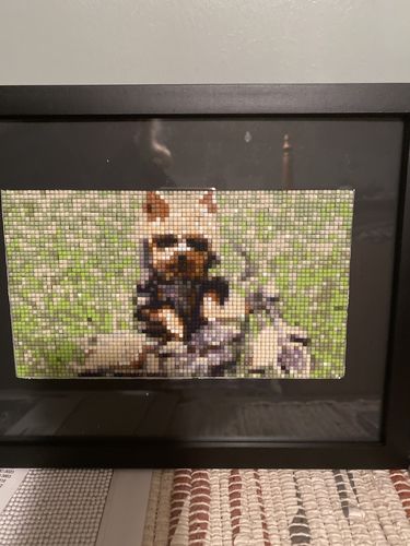 Customer photo review of American Diamond Art Yorkie Motorized Diamond Painting PL01230