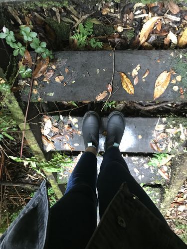 Customer photo review of ·MENTA·