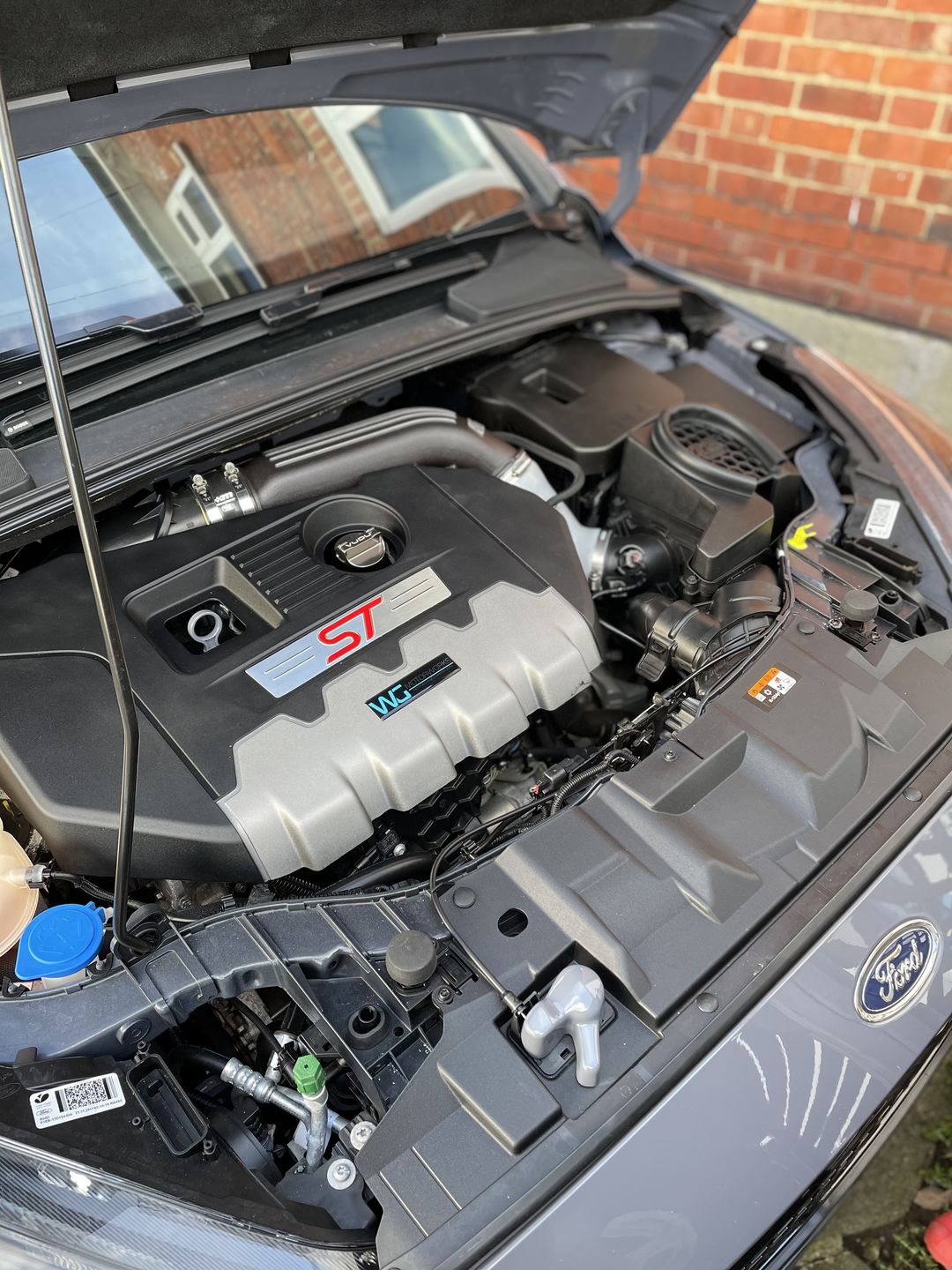 Customer photo review of Dipstick - Focus MK3 Petrol ST/ RS