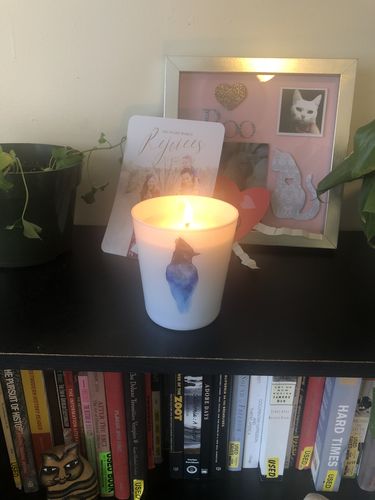 Customer photo review of Soy-Coconut Blend Candle, The Stellar Jay