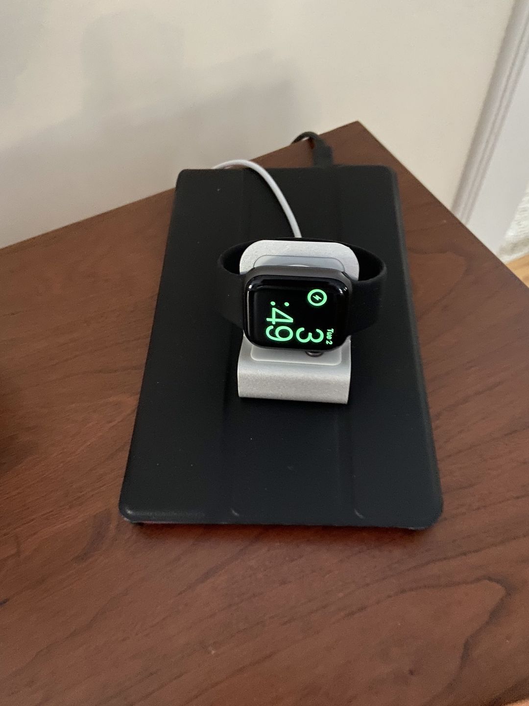 Customer photo review of Aluminum Loop Stand
