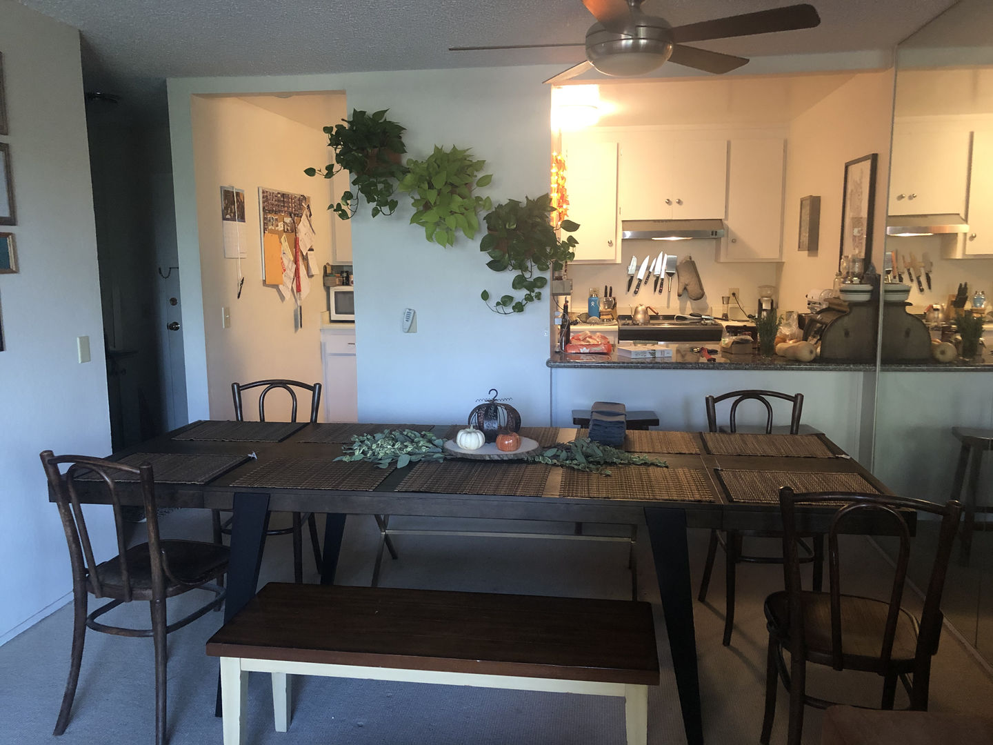 Customer photo review of Eco White Wall Planter