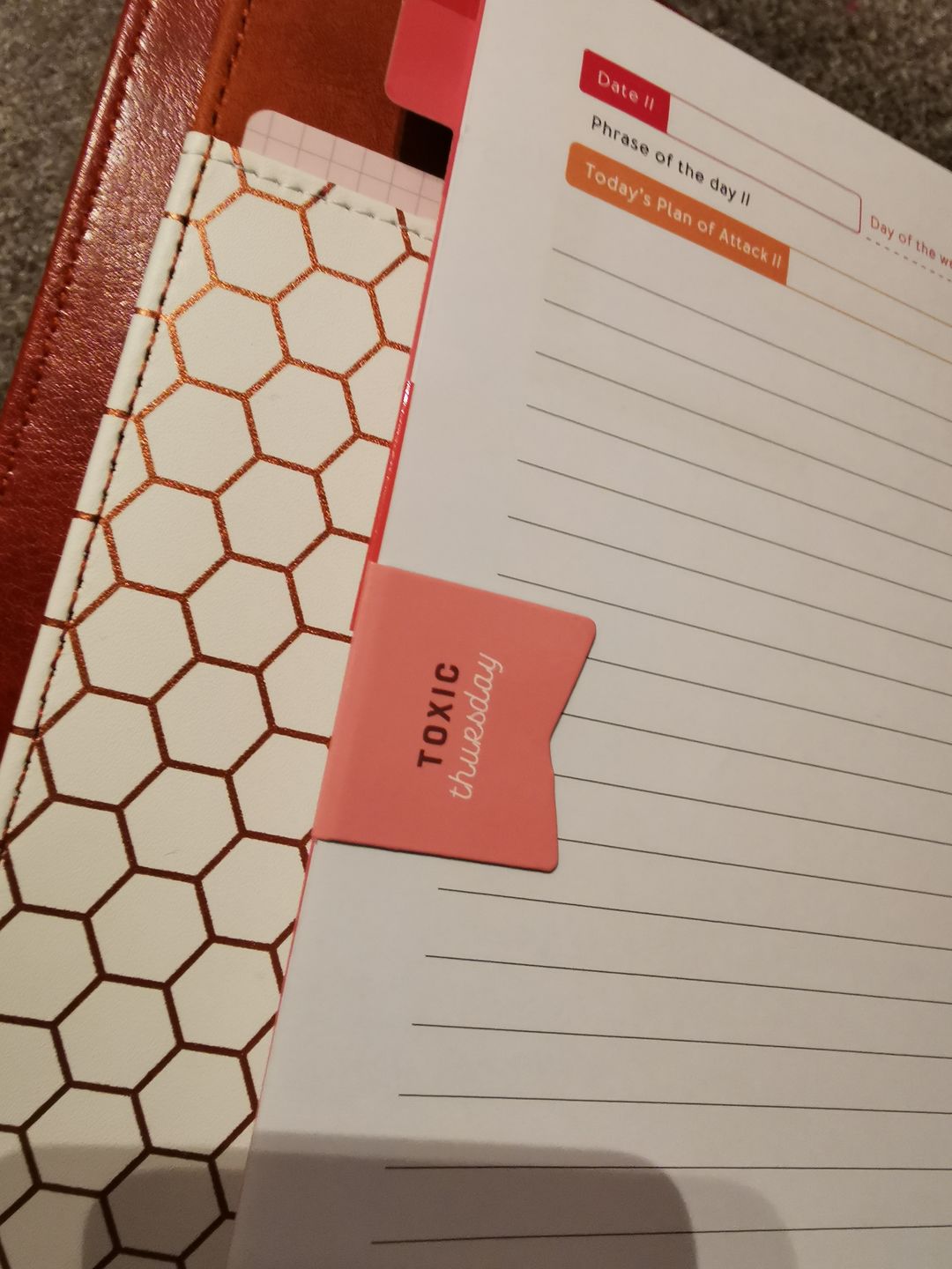 Customer photo review of Explicit Daily Bookmarks Pack