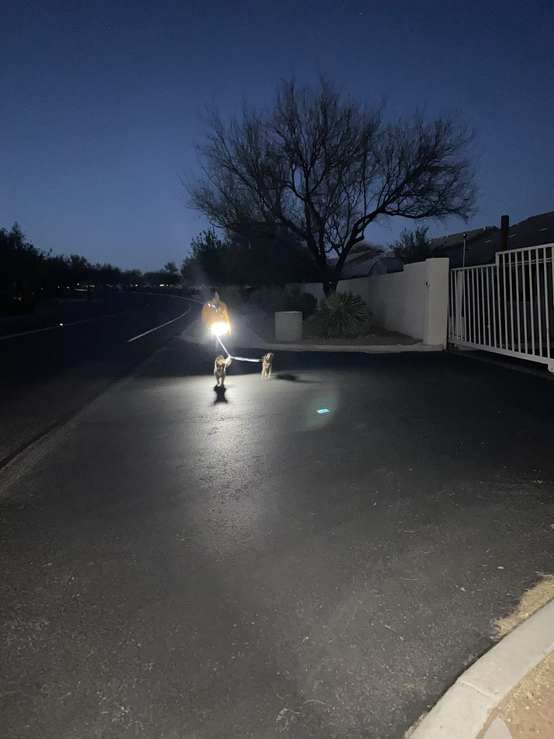 Customer photo review of Lightbar Belt