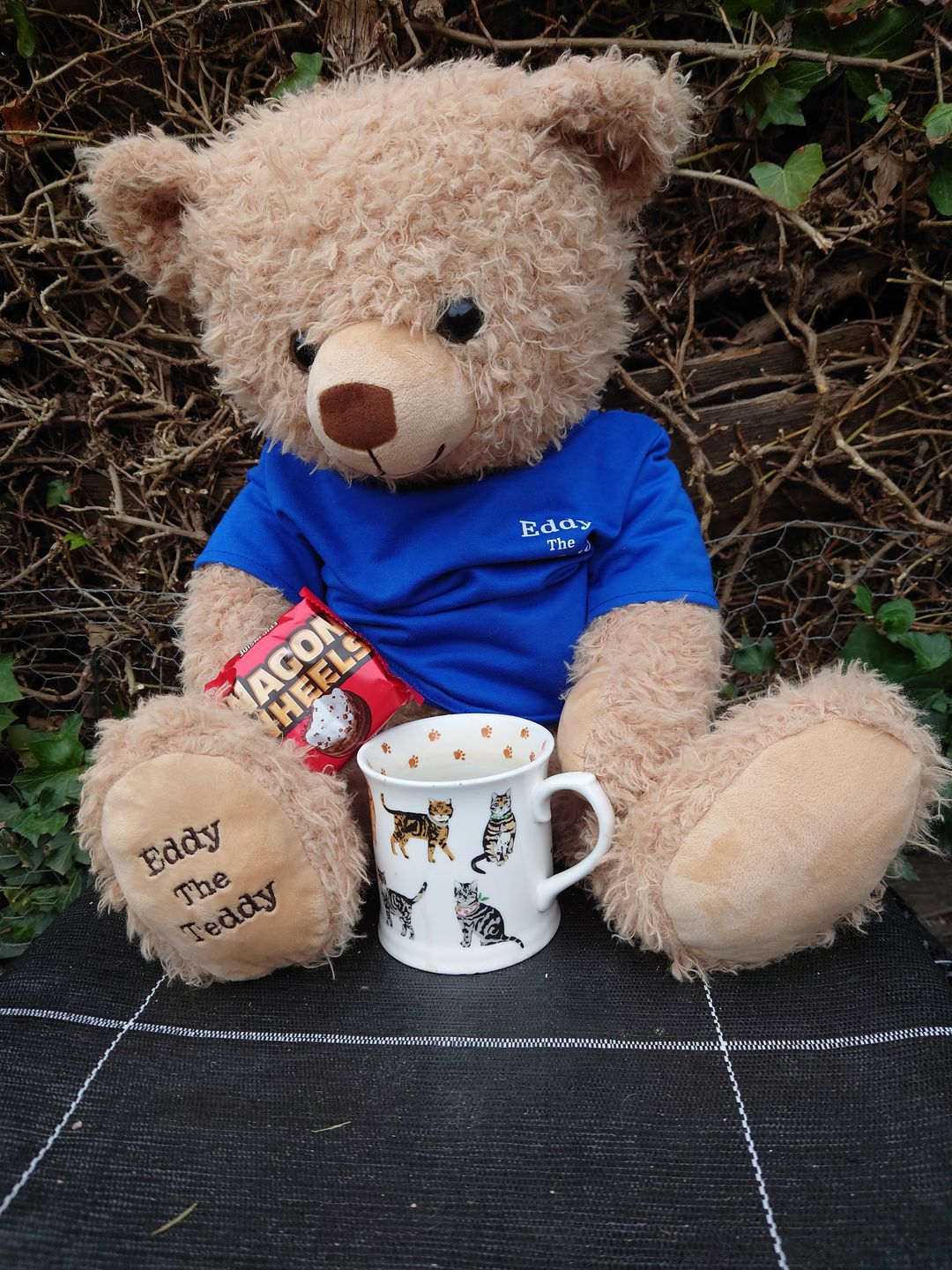 Customer photo review of 65cm Original Eddy the Teddy
