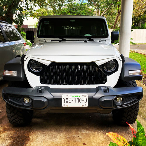 Customer photo review of Gladiator Vader Grille w/ Mesh - Black & White for 18-21 Jeep Wrangler JL & Gladiator JT