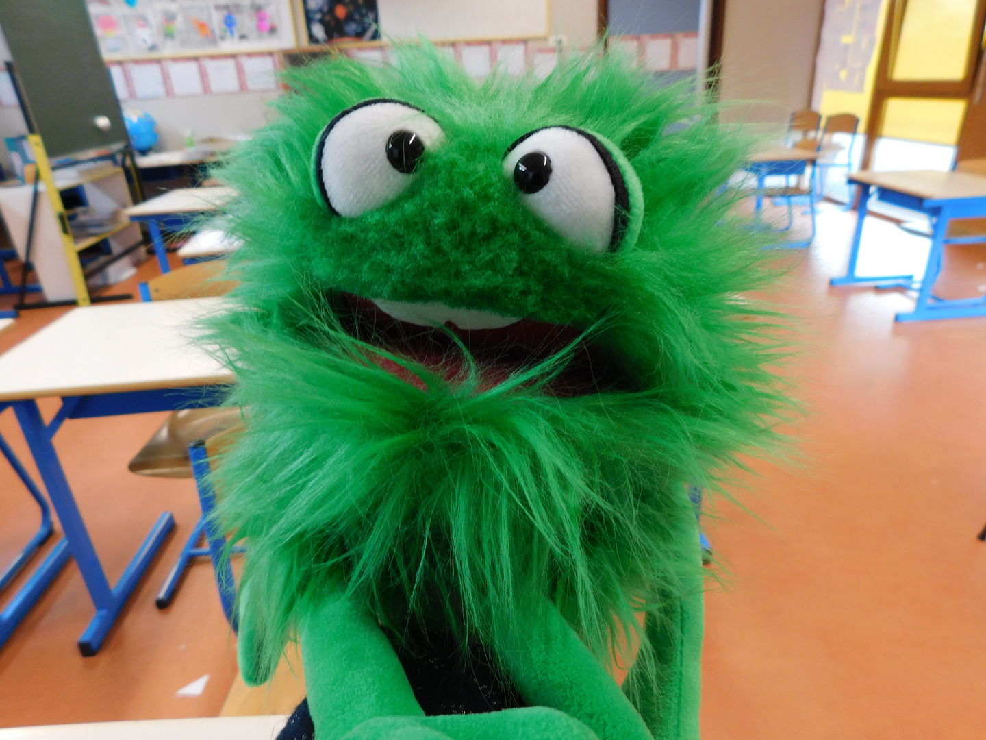 Customer photo review of Monstre Vert Marionnette