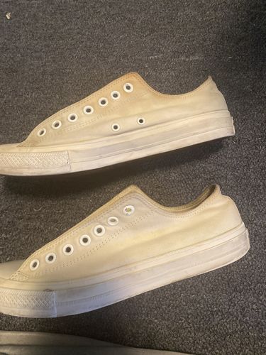 Customer photo review of SNEAKER CARE KIT