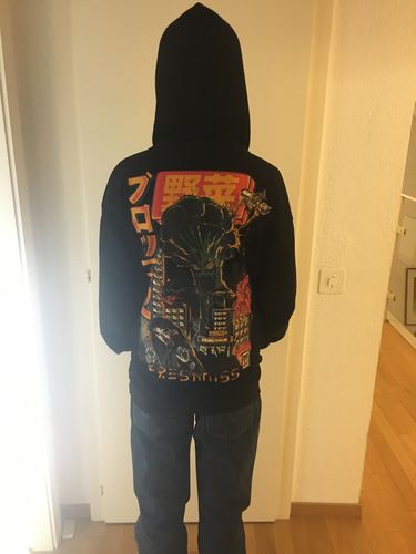 Customer photo review of Sweat Imprimé Japonais Brocodzilla