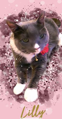 Customer photo review of Personalized Cat Art