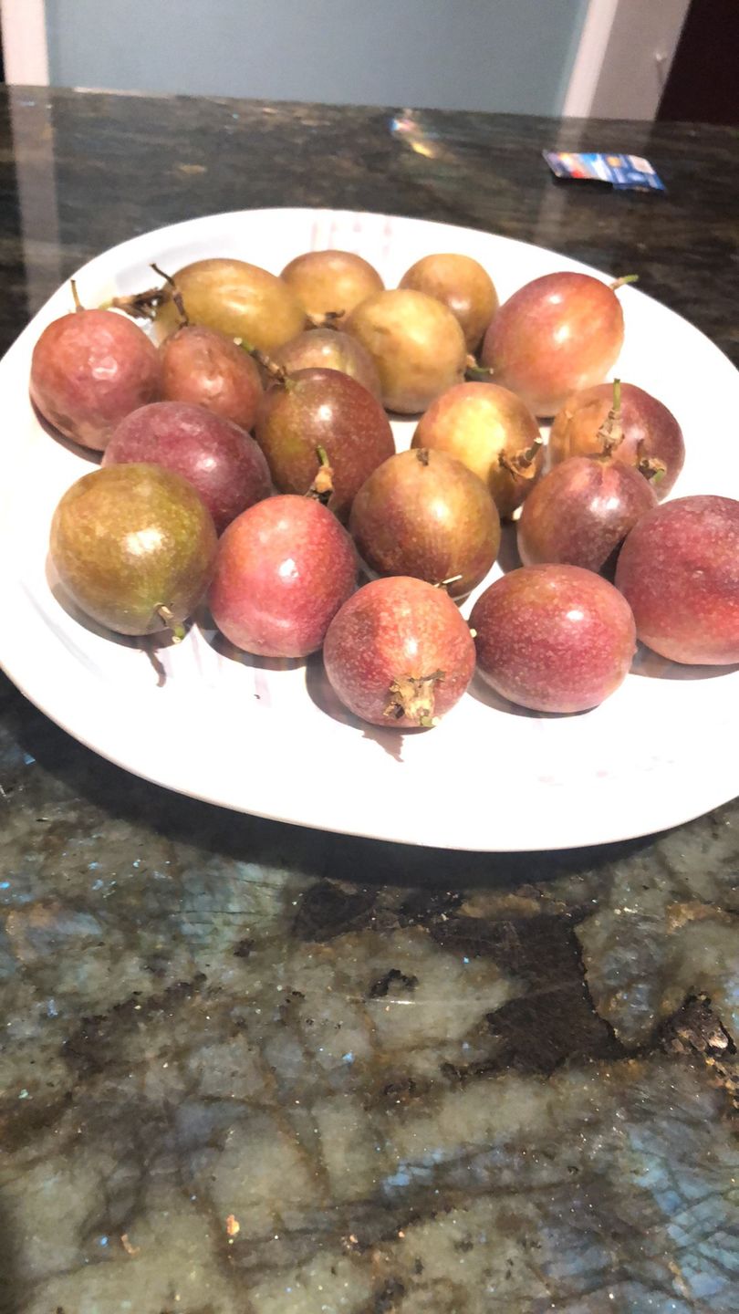 Customer photo review of Freeze Dried Cacao