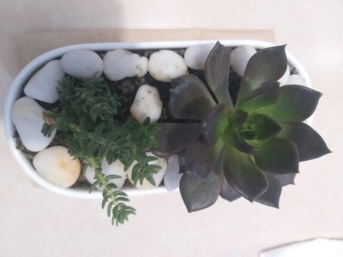 Review photo 1 by Nila R.