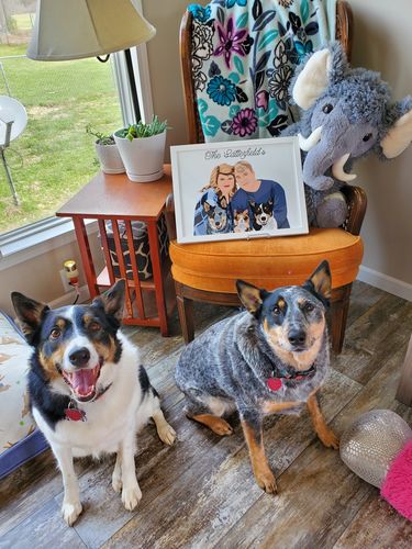 Customer photo review of Custom Framed Family Portrait