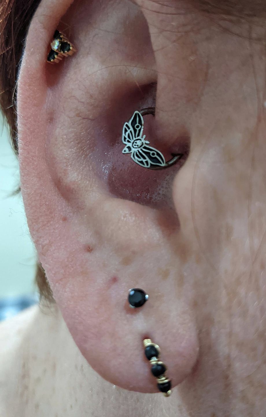 Customer photo review of 16G Death's Head Moth Captive Bead Ring