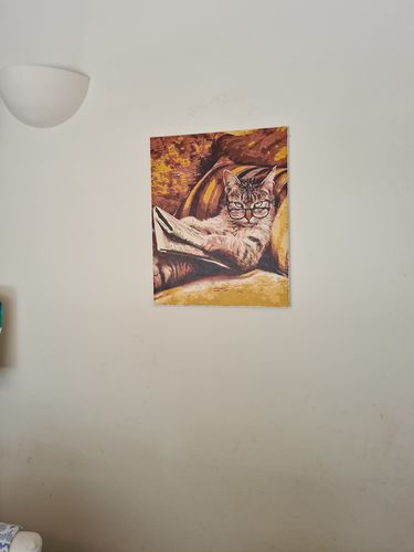 Customer photo review of Gato con periódico